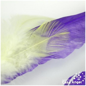 ADEREZO PAR DE PLUMAS MIXTAS LORI 28cm