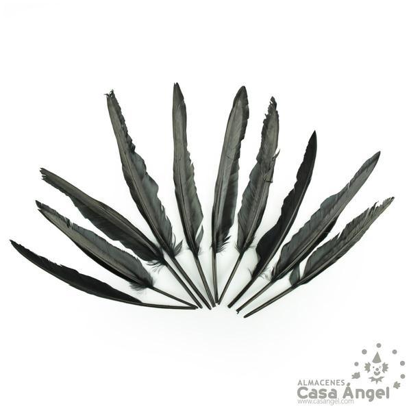BOLSA DE 10 PLUMAS NEGRAS DE GANSO