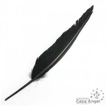BOLSA DE 10 PLUMAS NEGRAS DE GANSO