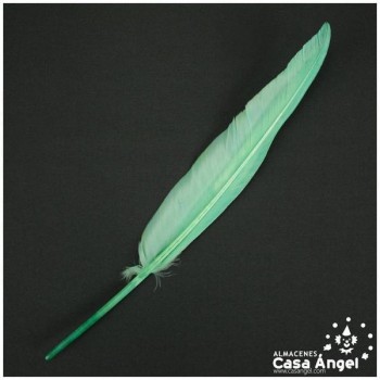 BOLSA DE 10 PLUMAS VERDE AGUA DE GANSO