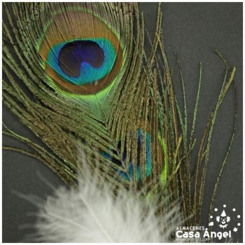 POMO COMBI DE PLUMAS BLANCAS DE MARABÚ Y PAVO REAL 30cm