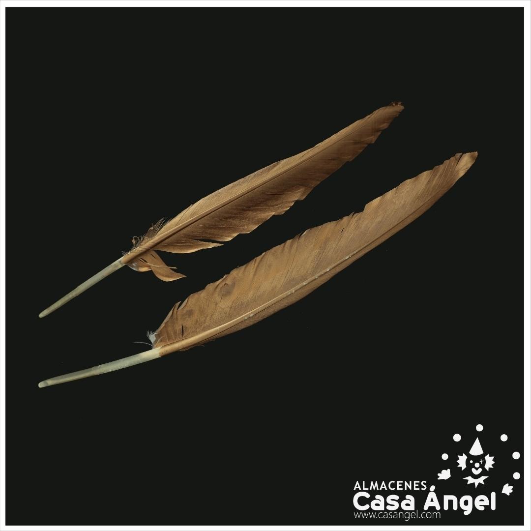 PAR DE PLUMAS DE PATO ORO METALIZADO 24cm
