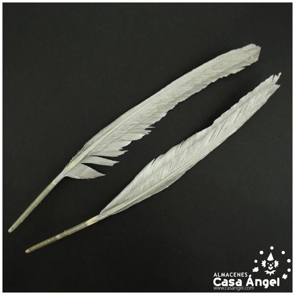 PAR DE PLUMAS DE PATO PLATEADAS 24cm