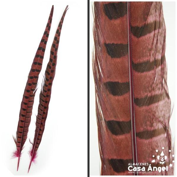 PLUMA DE FAISÁN TINTADA FUCSIA CON LABRADO NATURAL 45cm