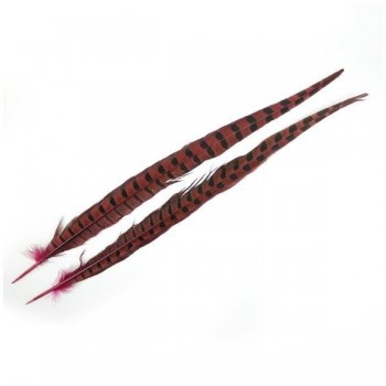 PLUMA DE FAISÁN TINTADA FUCSIA CON LABRADO NATURAL 45cm
