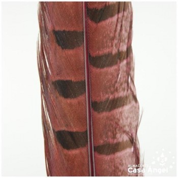 PLUMA DE FAISÁN TINTADA FUCSIA CON LABRADO NATURAL 45cm