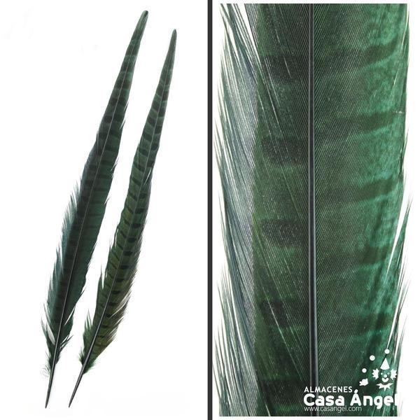 PLUMA DE FAISÁN TINTADA VERDE CON LABRADO NATURAL 45cm