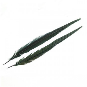 PLUMA DE FAISÁN TINTADA VERDE CON LABRADO NATURAL 45cm