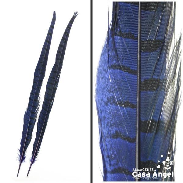 PLUMA DE FAISÁN TINTADA AZUL CON LABRADO NATURAL 45cm