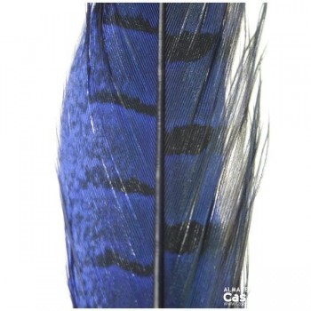 PLUMA DE FAISÁN TINTADA AZUL CON LABRADO NATURAL 45cm