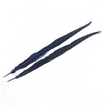 PLUMA DE FAISÁN TINTADA AZUL CON LABRADO NATURAL 45cm
