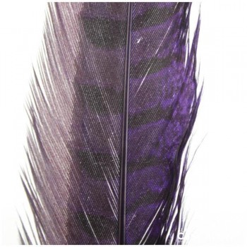 PLUMA DE FAISÁN TINTADA MORADA CON LABRADO NATURAL 45cm