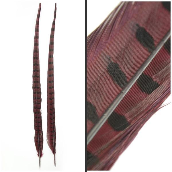 PLUMA DE FAISÁN TINTADA ROJO VINO CON LABRADO NATURAL 60cm