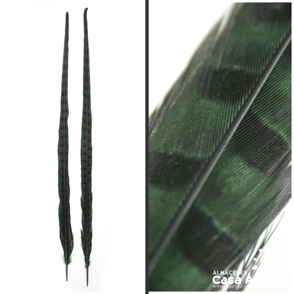 PLUMA DE FAISÁN TINTADA VERDE OSCURO CON LABRADO NATURAL 60cm