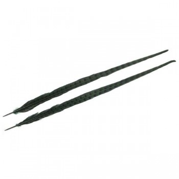 PLUMA DE FAISÁN TINTADA VERDE OSCURO CON LABRADO NATURAL 60cm