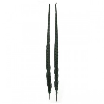 PLUMA DE FAISÁN TINTADA VERDE OSCURO CON LABRADO NATURAL 60cm