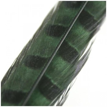 PLUMA DE FAISÁN TINTADA VERDE OSCURO CON LABRADO NATURAL 60cm
