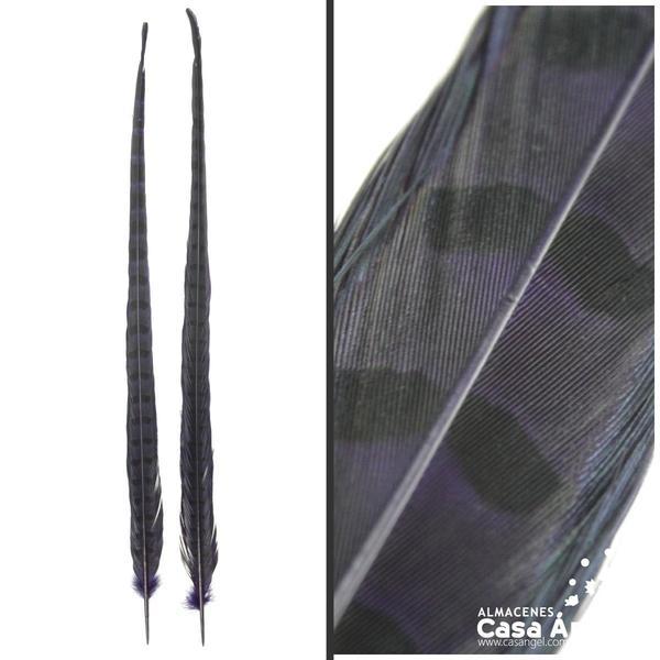 PLUMA DE FAISÁN TINTADA MORADO OSCURO CON LABRADO NATURAL 60cm