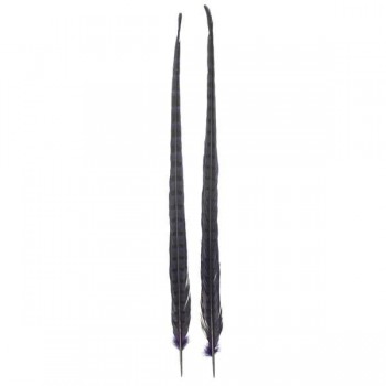 PLUMA DE FAISÁN TINTADA MORADO OSCURO CON LABRADO NATURAL 60cm