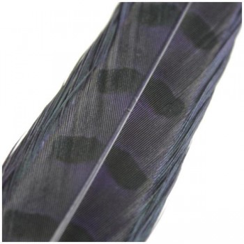 PLUMA DE FAISÁN TINTADA MORADO OSCURO CON LABRADO NATURAL 60cm
