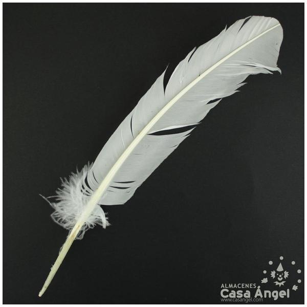 PLUMA DE PATO BLANCA SABLE CON PUNTA SESGADA 27cm BOLSA 2uds