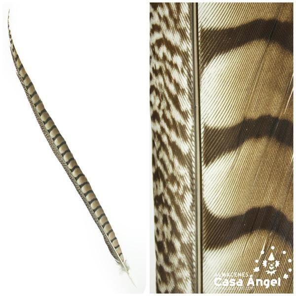 PLUMA COLA DE FAISÁN AL NATURAL 90cm
