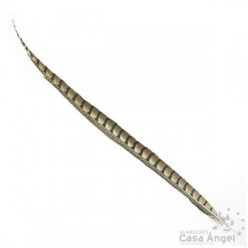 PLUMA COLA DE FAISÁN AL NATURAL 90cm