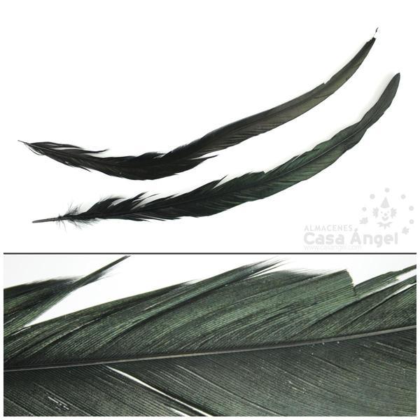 PLUMA DE COLA DE GALLO NEGRA AL NATURAL 35cm