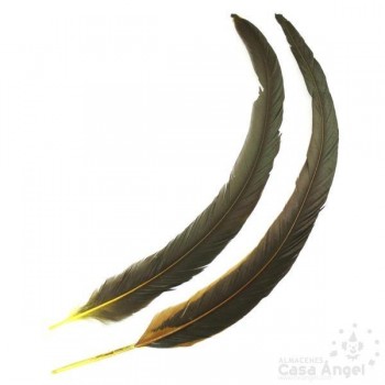 PLUMA DE COLA DE GALLO TINTADA AMARILLO SOBRE NATURAL 35cm