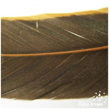 PLUMA DE COLA DE GALLO TINTADA AMARILLO SOBRE NATURAL 35cm