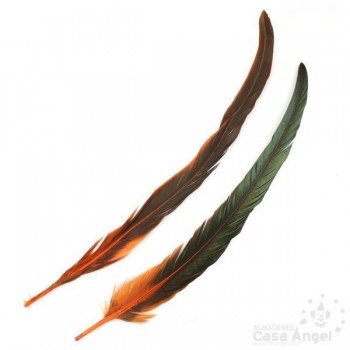 PLUMA DE COLA DE GALLO TINTADA NARANJA SOBRE NATURAL 35cm