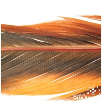 PLUMA DE COLA DE GALLO TINTADA NARANJA SOBRE NATURAL 35cm