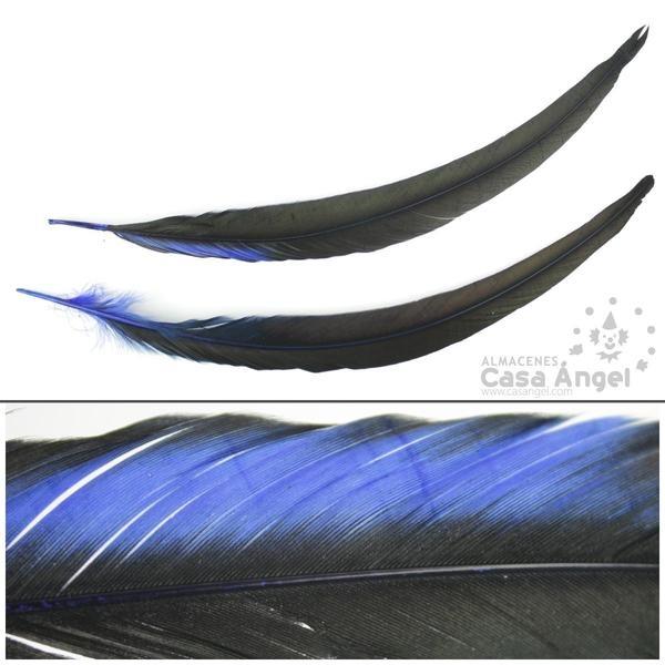 PLUMA DE COLA DE GALLO TINTADA AZUL SOBRE NATURAL 35cm