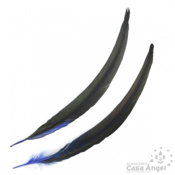 PLUMA DE COLA DE GALLO TINTADA AZUL SOBRE NATURAL 35cm
