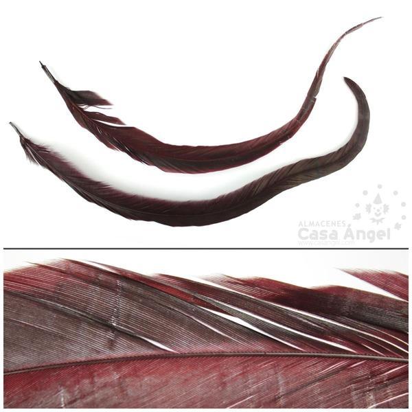 PLUMA DE COLA DE GALLO TINTADA GRANATE SOBRE NATURAL 35cm