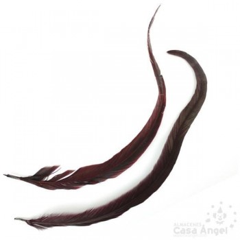 PLUMA DE COLA DE GALLO TINTADA GRANATE SOBRE NATURAL 35cm