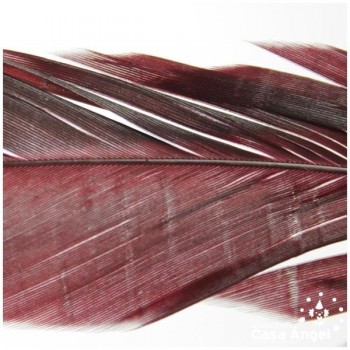 PLUMA DE COLA DE GALLO TINTADA GRANATE SOBRE NATURAL 35cm