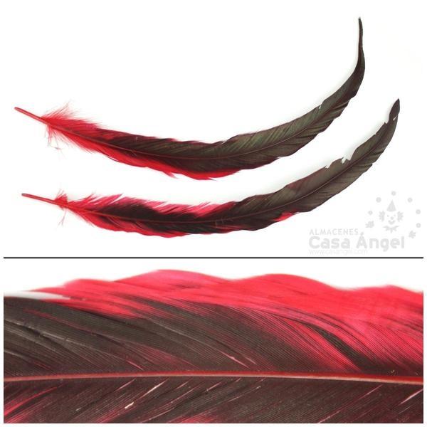 PLUMA DE COLA DE GALLO TINTADA ROJO SOBRE NATURAL 35cm
