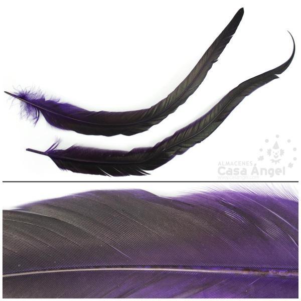 PLUMA DE COLA DE GALLO TINTADA MORADO  SOBRE NATURAL 35cm
