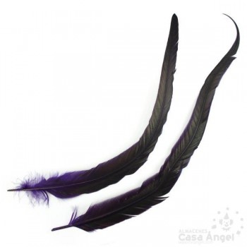 PLUMA DE COLA DE GALLO TINTADA MORADO  SOBRE NATURAL 35cm