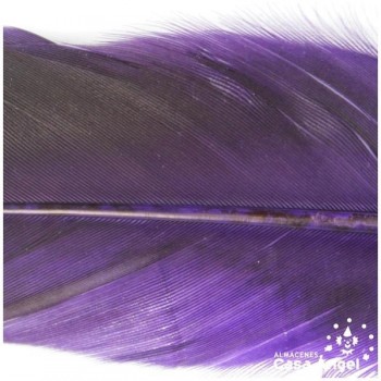 PLUMA DE COLA DE GALLO TINTADA MORADO  SOBRE NATURAL 35cm