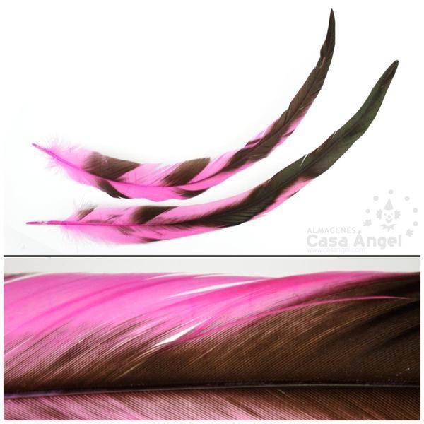 PLUMA DE COLA DE GALLO TINTADA FUCSIA SOBRE NATURAL 35cm