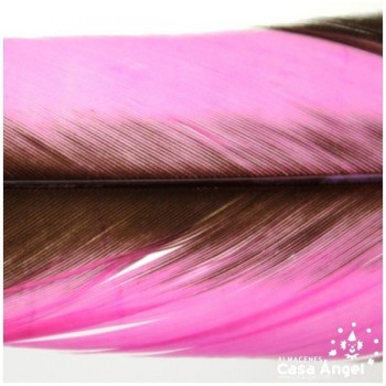 PLUMA DE COLA DE GALLO TINTADA FUCSIA SOBRE NATURAL 35cm