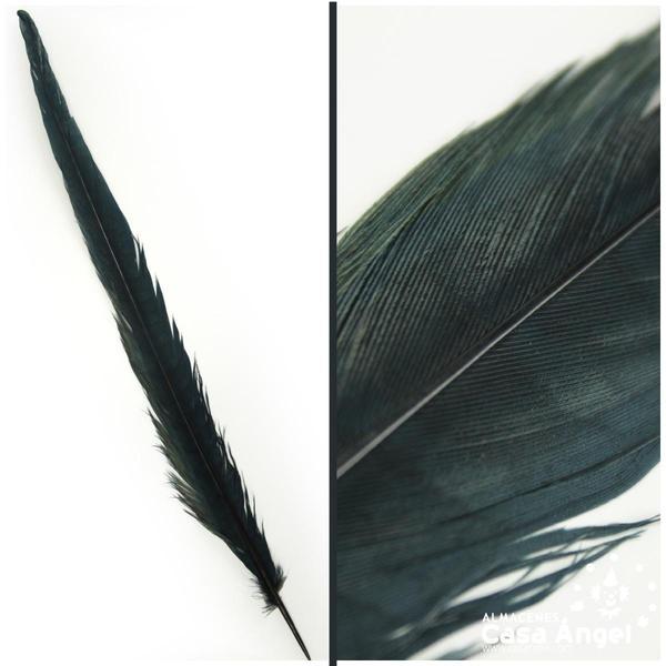 PLUMA DE FAISÁN NATURAL TINTADA NEGRA 33cm