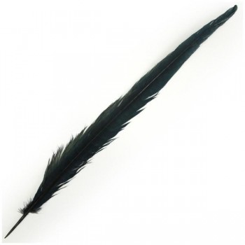 PLUMA DE FAISÁN NATURAL TINTADA NEGRA 33cm