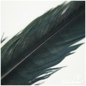 PLUMA DE FAISÁN NATURAL TINTADA NEGRA 33cm