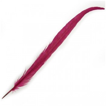 PLUMA DE FAISÁN NATURAL TINTADA FUCSIA 33cm