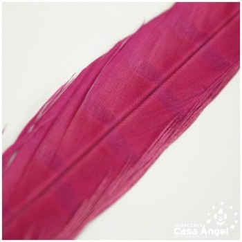 PLUMA DE FAISÁN NATURAL TINTADA FUCSIA 33cm