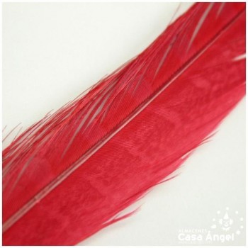 PLUMA DE FAISÁN NATURAL TINTADA ROJO 33cm