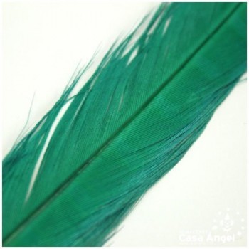 PLUMA DE FAISÁN NATURAL TINTADA VERDE 33cm